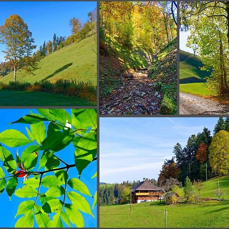 Emmental Ferien Leilighet Langnau im Emmental Eksteriør bilde