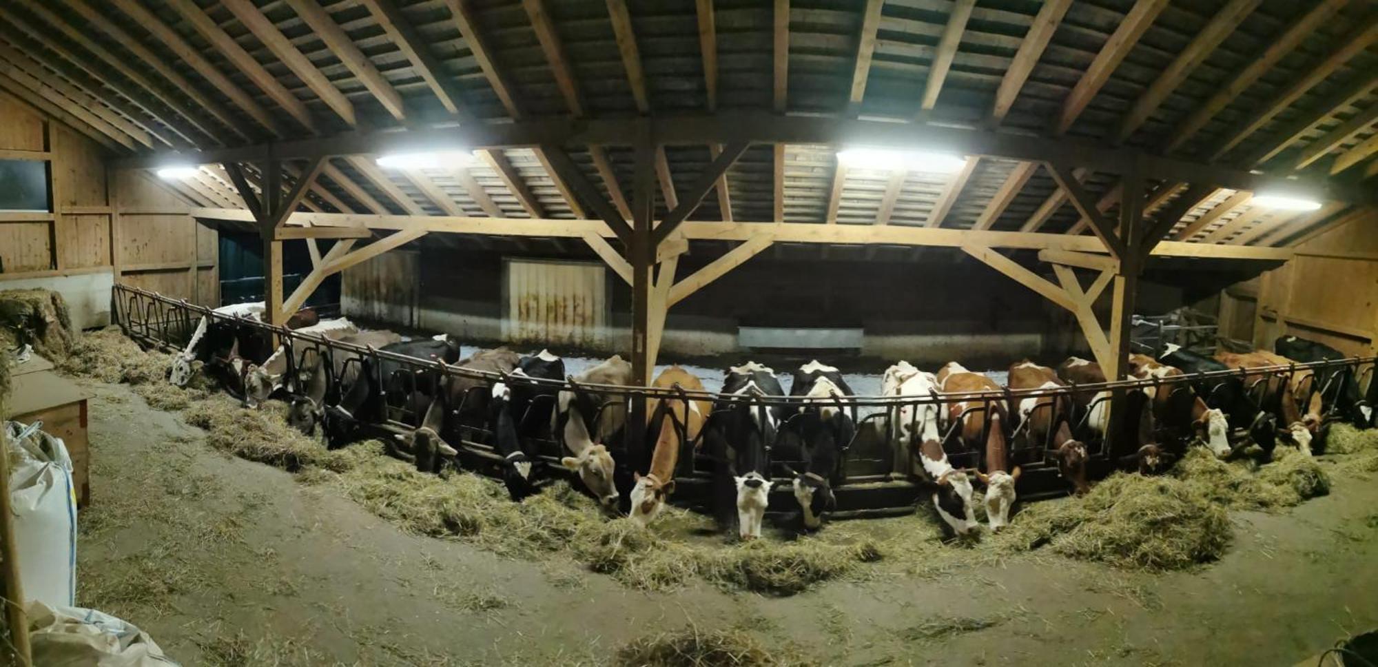 Emmental Ferien Leilighet Langnau im Emmental Eksteriør bilde