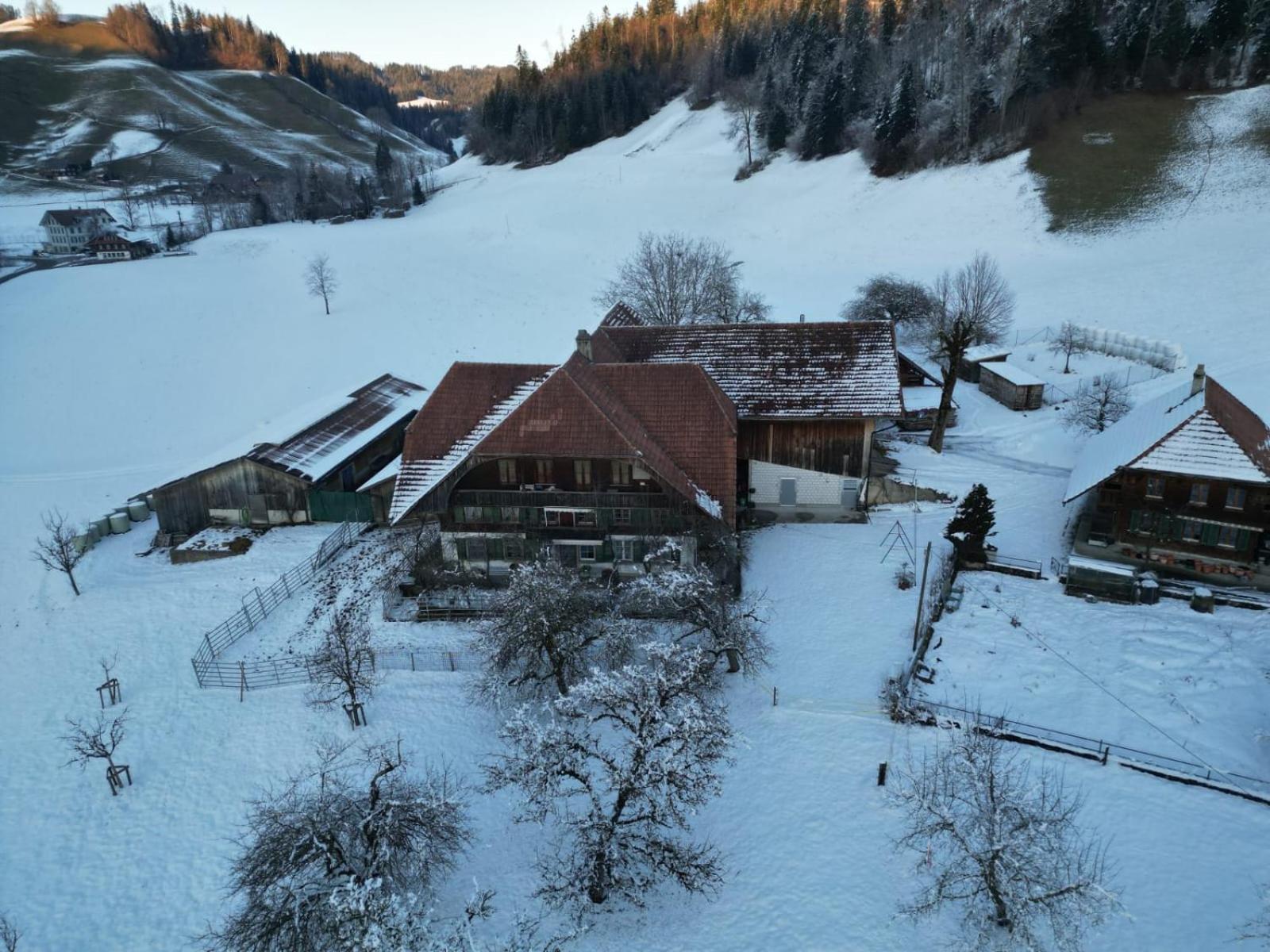 Emmental Ferien Leilighet Langnau im Emmental Eksteriør bilde