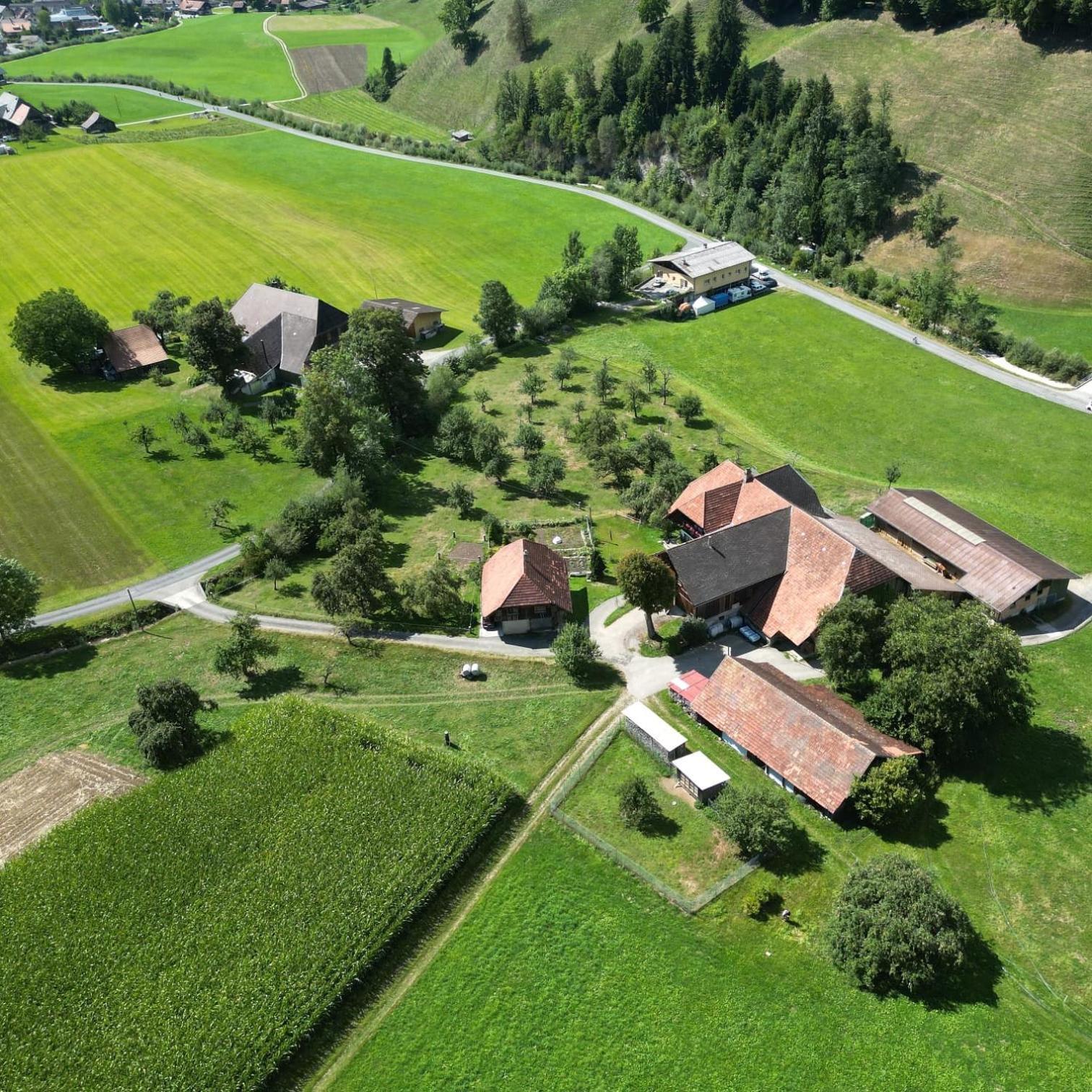 Emmental Ferien Leilighet Langnau im Emmental Eksteriør bilde