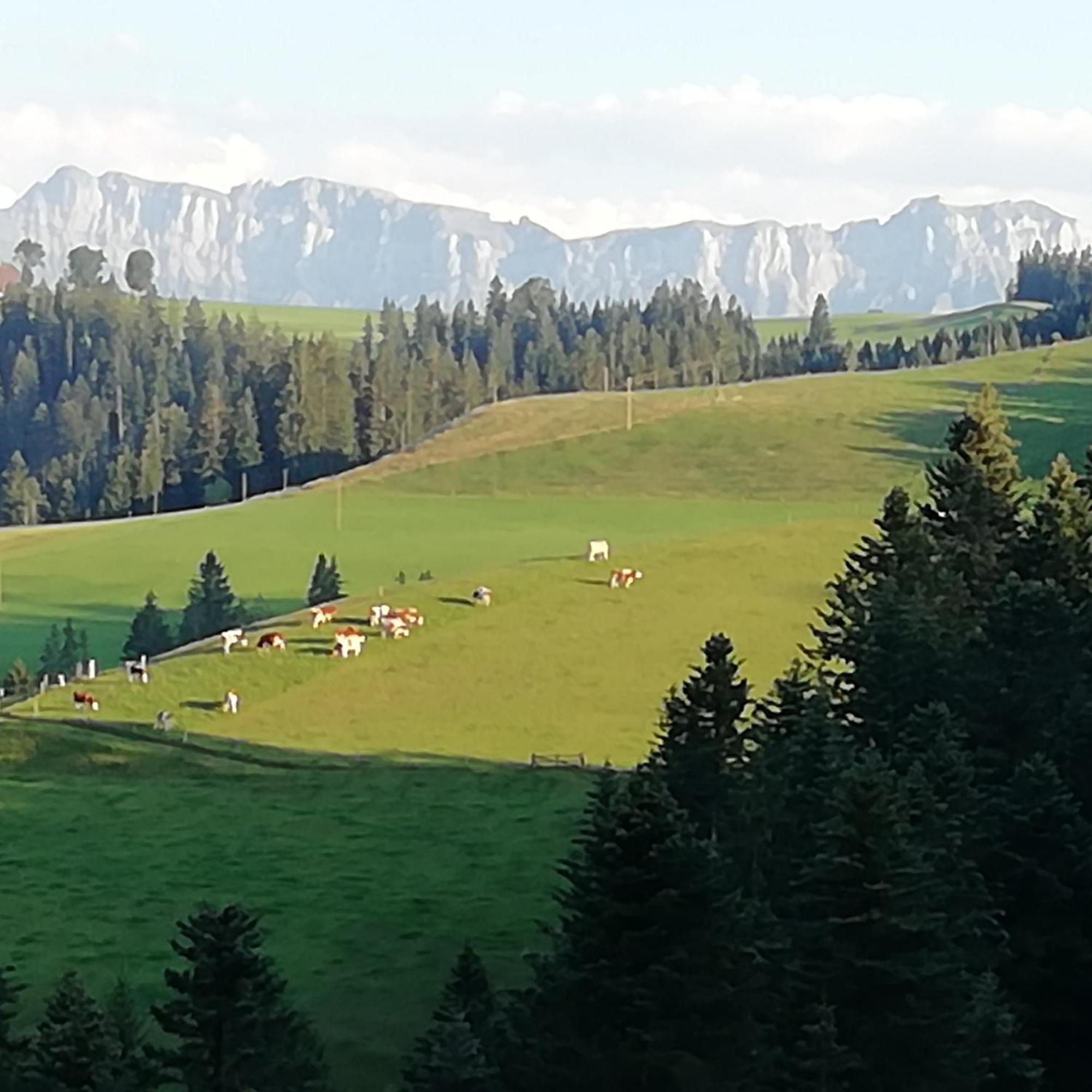 Emmental Ferien Leilighet Langnau im Emmental Eksteriør bilde