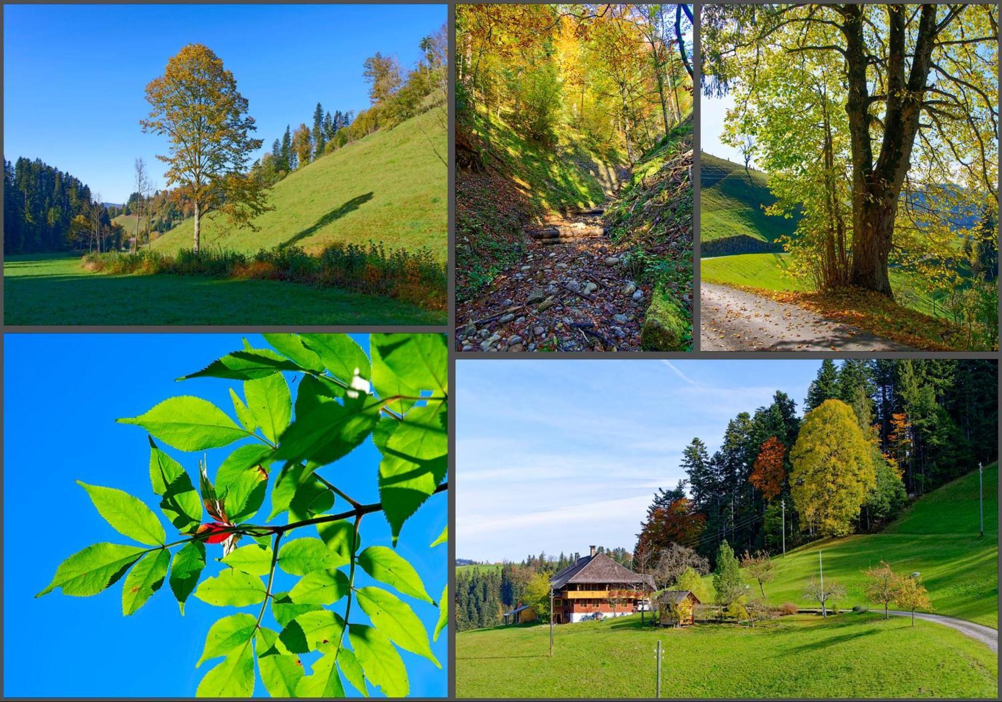 Emmental Ferien Leilighet Langnau im Emmental Eksteriør bilde