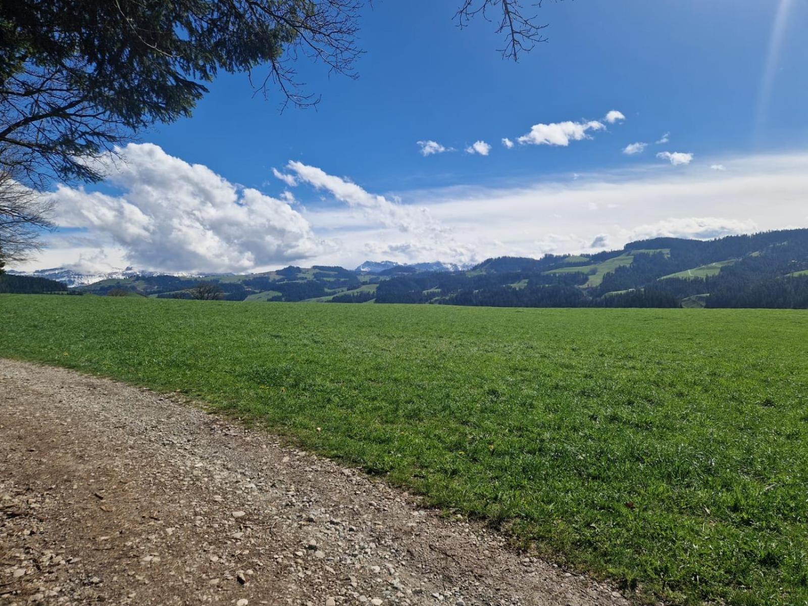 Emmental Ferien Leilighet Langnau im Emmental Eksteriør bilde